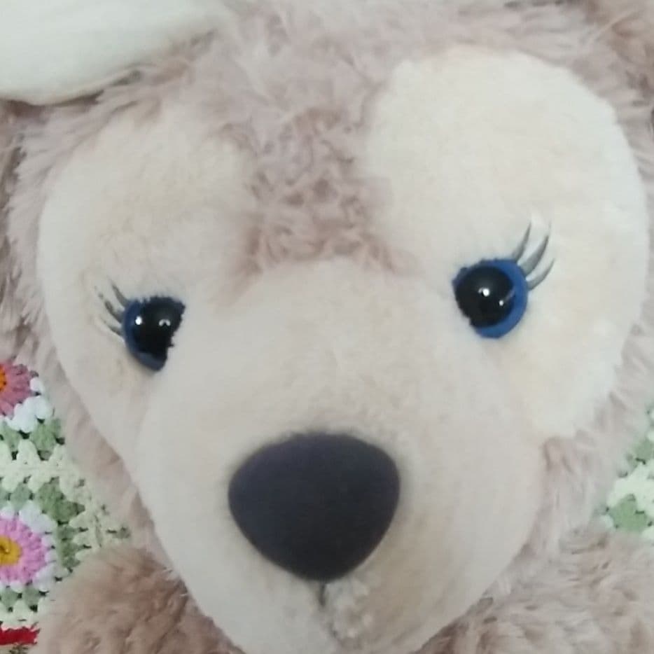 デズニーランド、くま、クマ、ディベアーフワフワ、 ぬいぐるみ、ビック