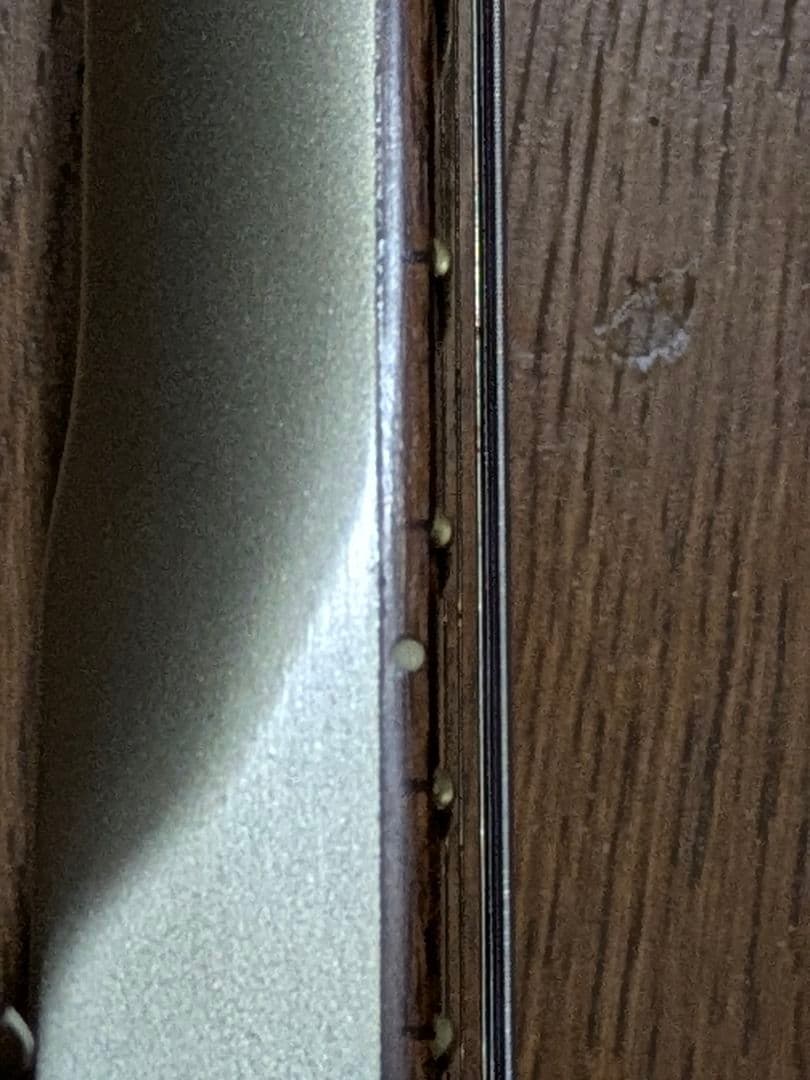 グラスルーツ Grass Roots レスポールタイプ ロック式