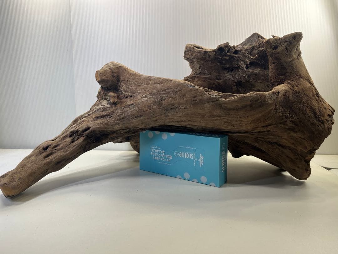 R72特大流木アク抜き済み流木 爬虫類シェルター 登り木 インテリア 生け花