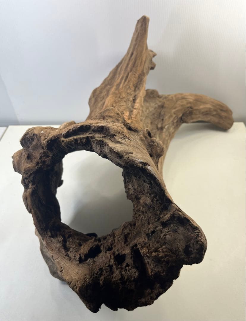 R72特大流木アク抜き済み流木 爬虫類シェルター 登り木 インテリア 生け花