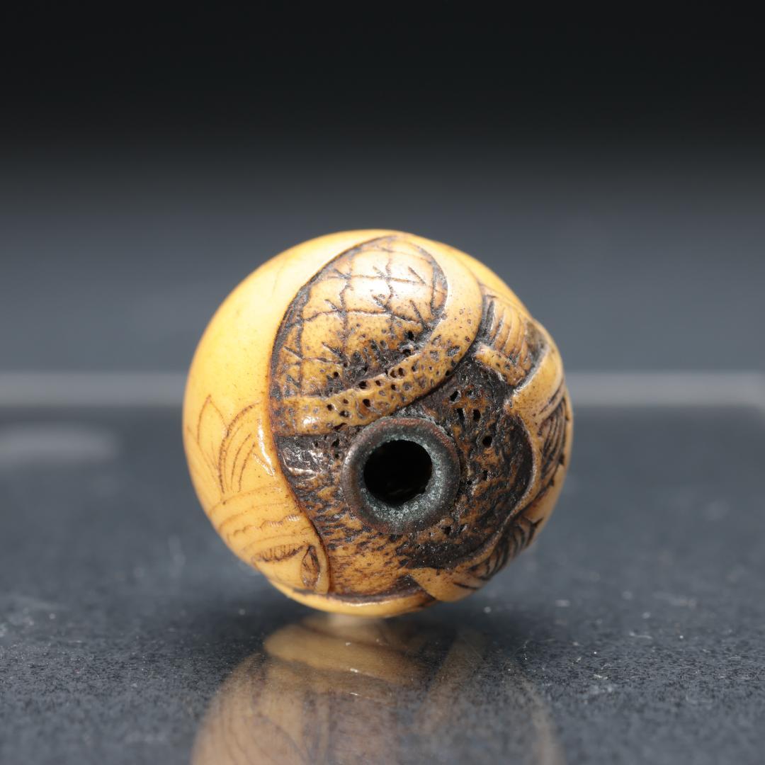 緒締め玉　花菱文様　鹿角　骨董　胴乱　印籠 　R1447