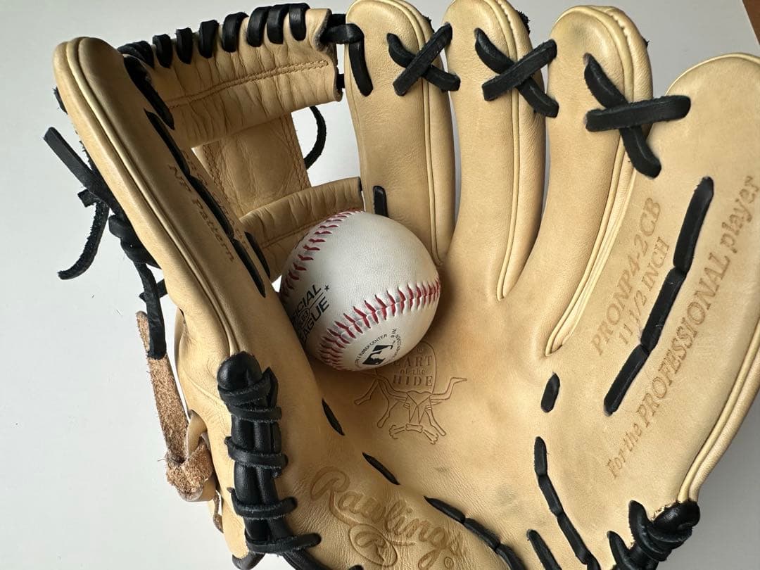 Rawlings USA ローリングス HOH 内野手用