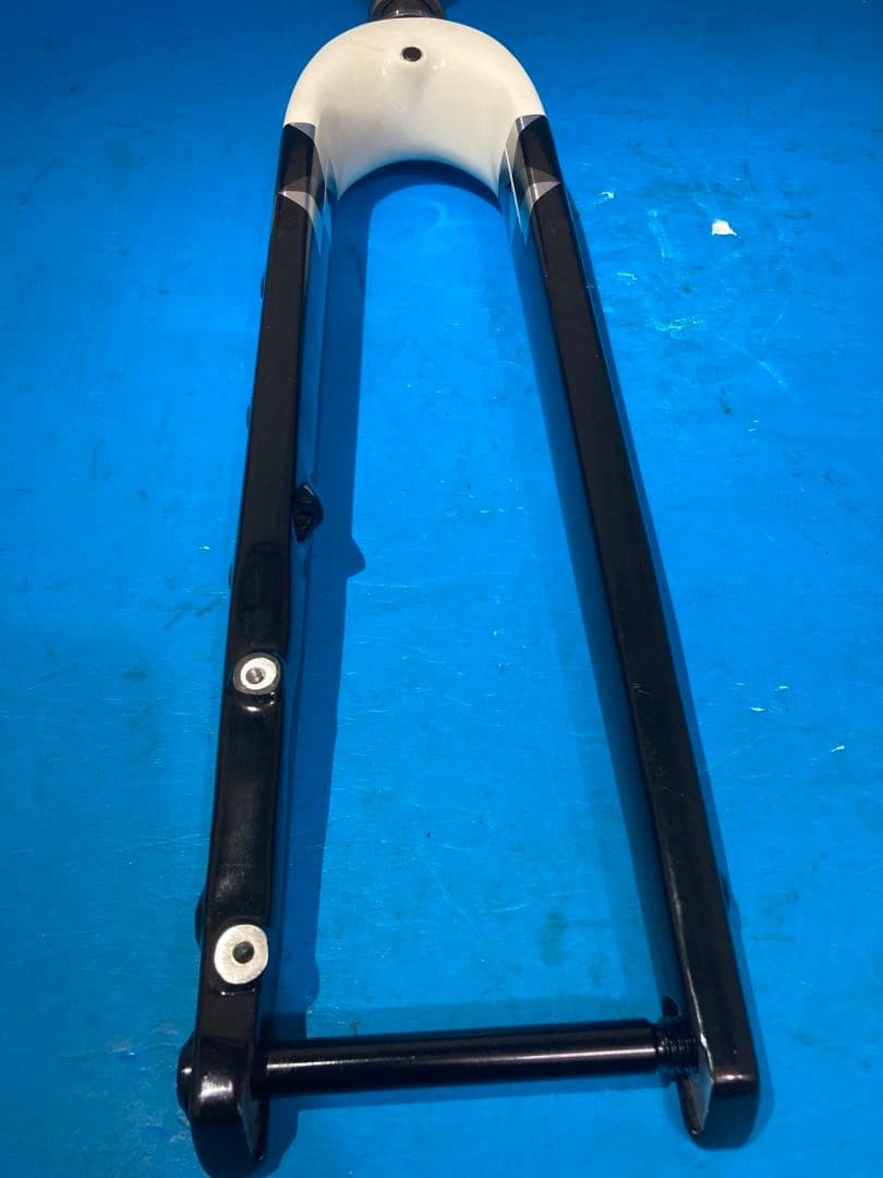 ◻️Trek Checkpoint ALR 5 フルカーボンフロントフォーク