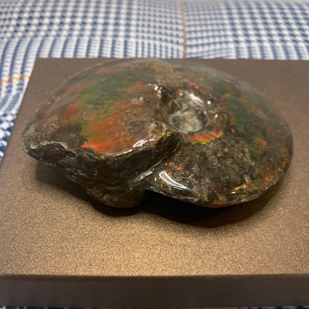 【未使用に近い】アンモライト原石標本　アンモライト研究所　カナダ産　アンモナイト