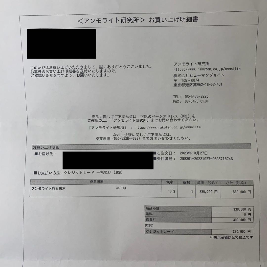 【未使用に近い】アンモライト原石標本　アンモライト研究所　カナダ産　アンモナイト