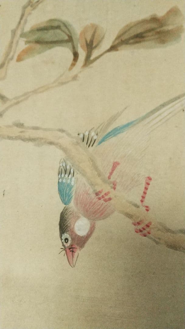 南画家 滝和亭 花鳥画 水仙椿 紙本