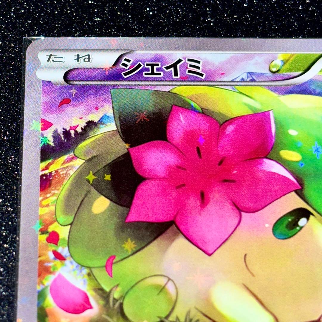 シェイミ CP5 004/036