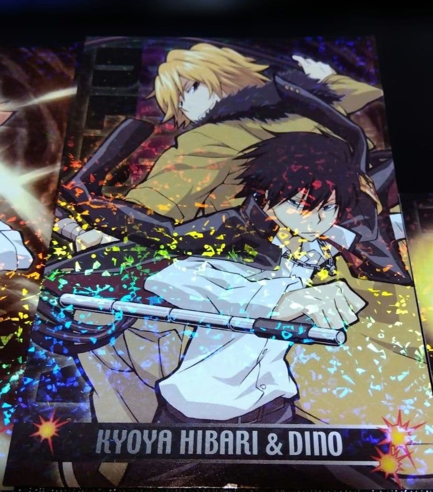 家庭教師ヒットマン…ホログラムキャラクターカードセット