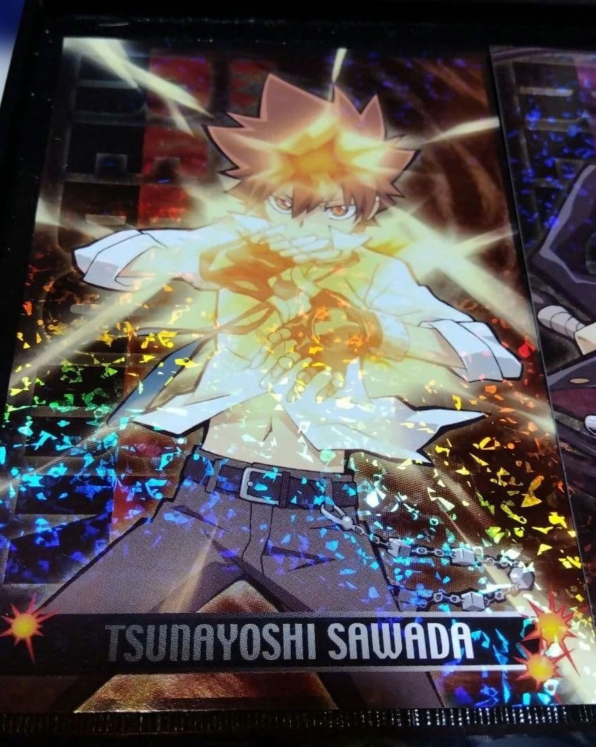 家庭教師ヒットマン…ホログラムキャラクターカードセット