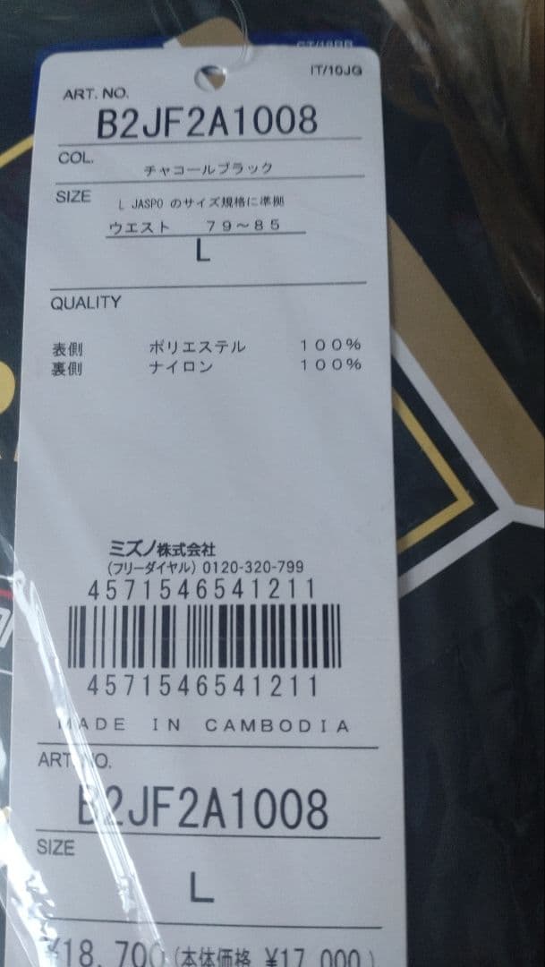 ミズノ ゴアテックス 上下セット　Lサイズ