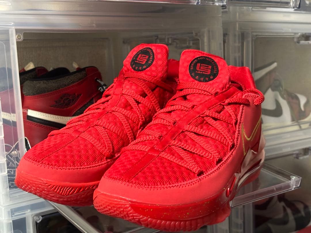 NIKE レブロン17 dc5009 600