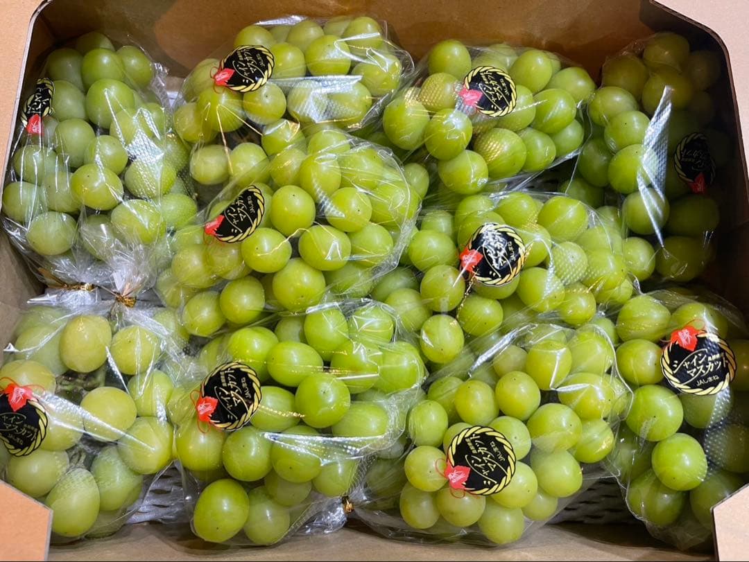 ⑥【島根県産】シャインマスカット約5キロ