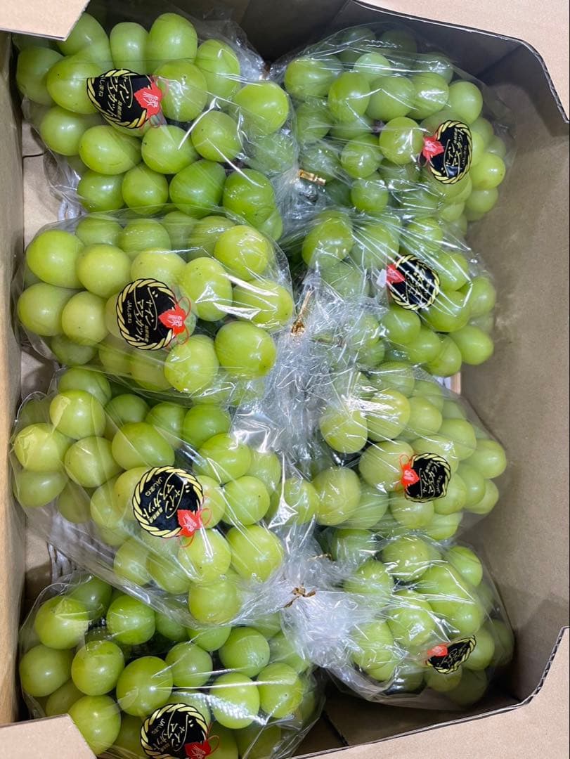 ⑥【島根県産】シャインマスカット約5キロ