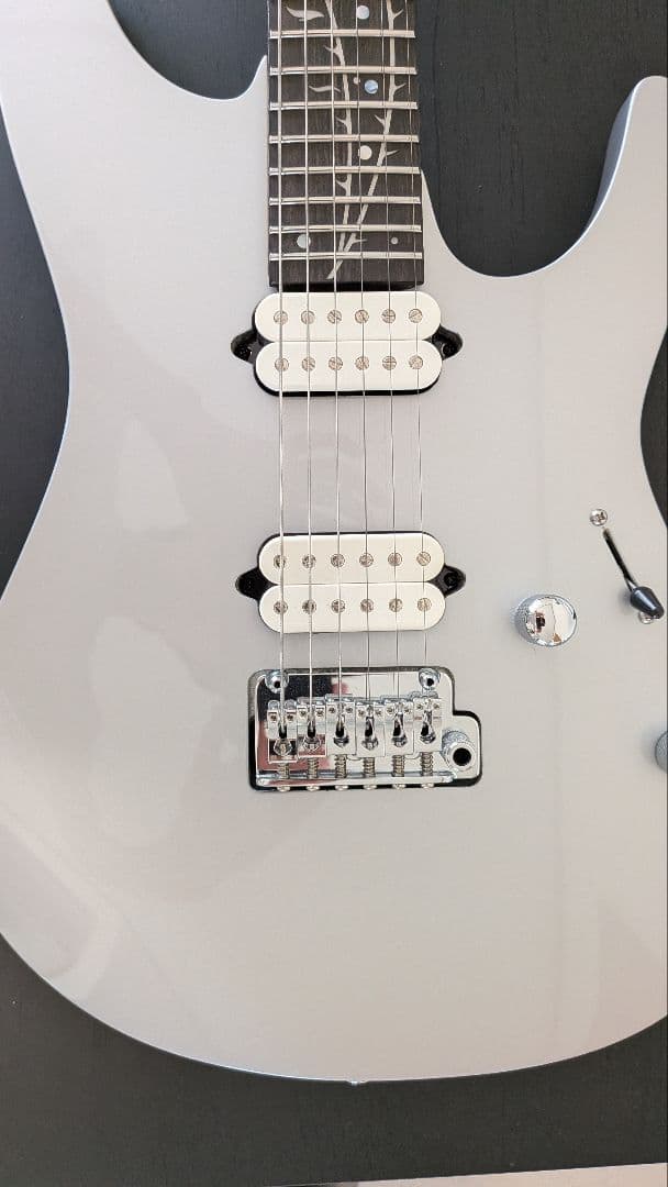 Ibanez tod10と付属品セット