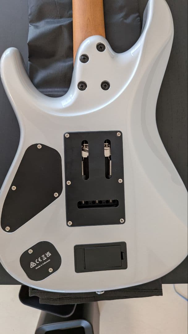 Ibanez tod10と付属品セット