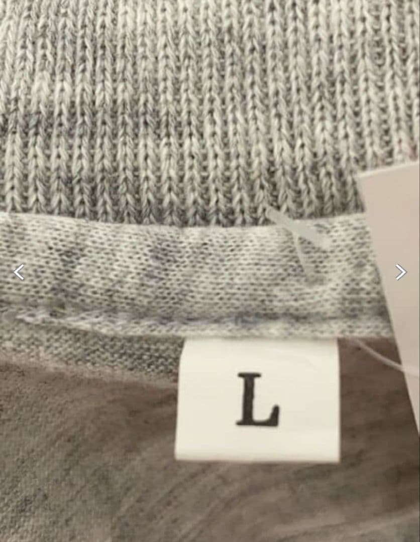 【GLAY】【Lサイズ】【グレー】【Tシャツ】 【超希少】【90s】