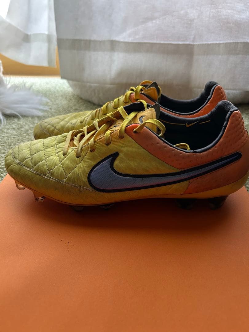 ティエンポレジェンド5 FG