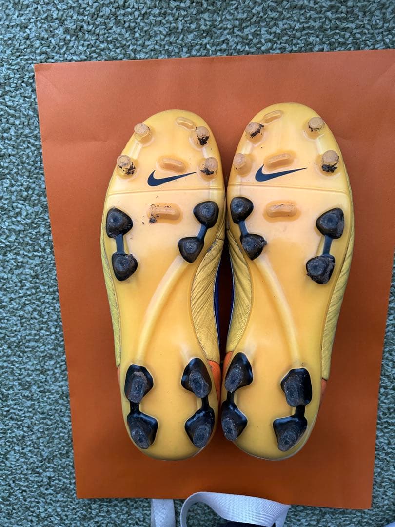 ティエンポレジェンド5 FG