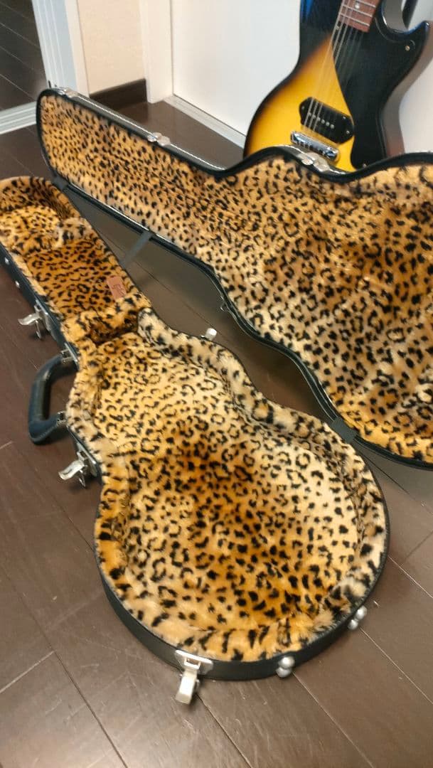 ギター Gibson Les Paul Junior greenday