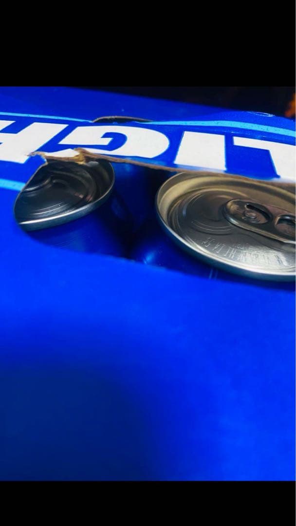 バドライト（BUD LIGHT） 355ml×30