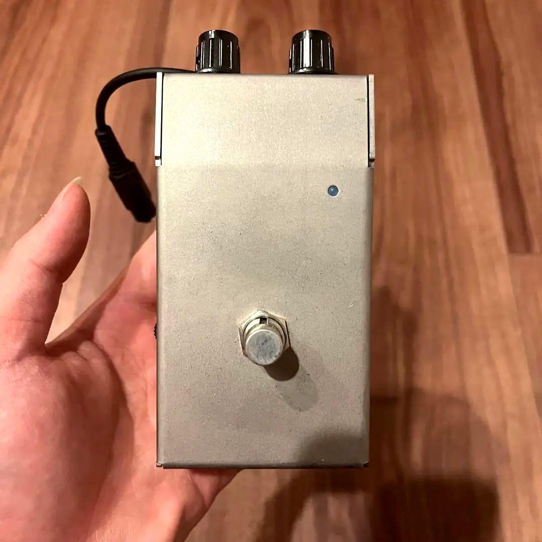 希少　Lemon & Ginger Ammonite Fuzz 6647 ゲルマ