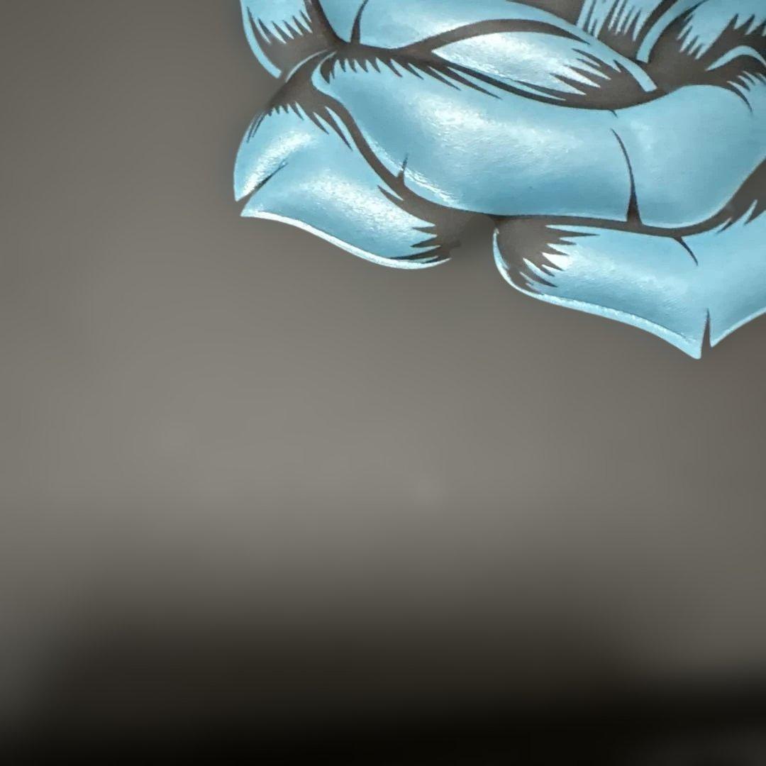 Ado よだか キラキラペンライト 収納ケース セット