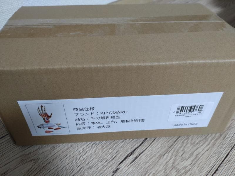 【未開封新品】手解剖模型 7パーツ分解モデル 等身大