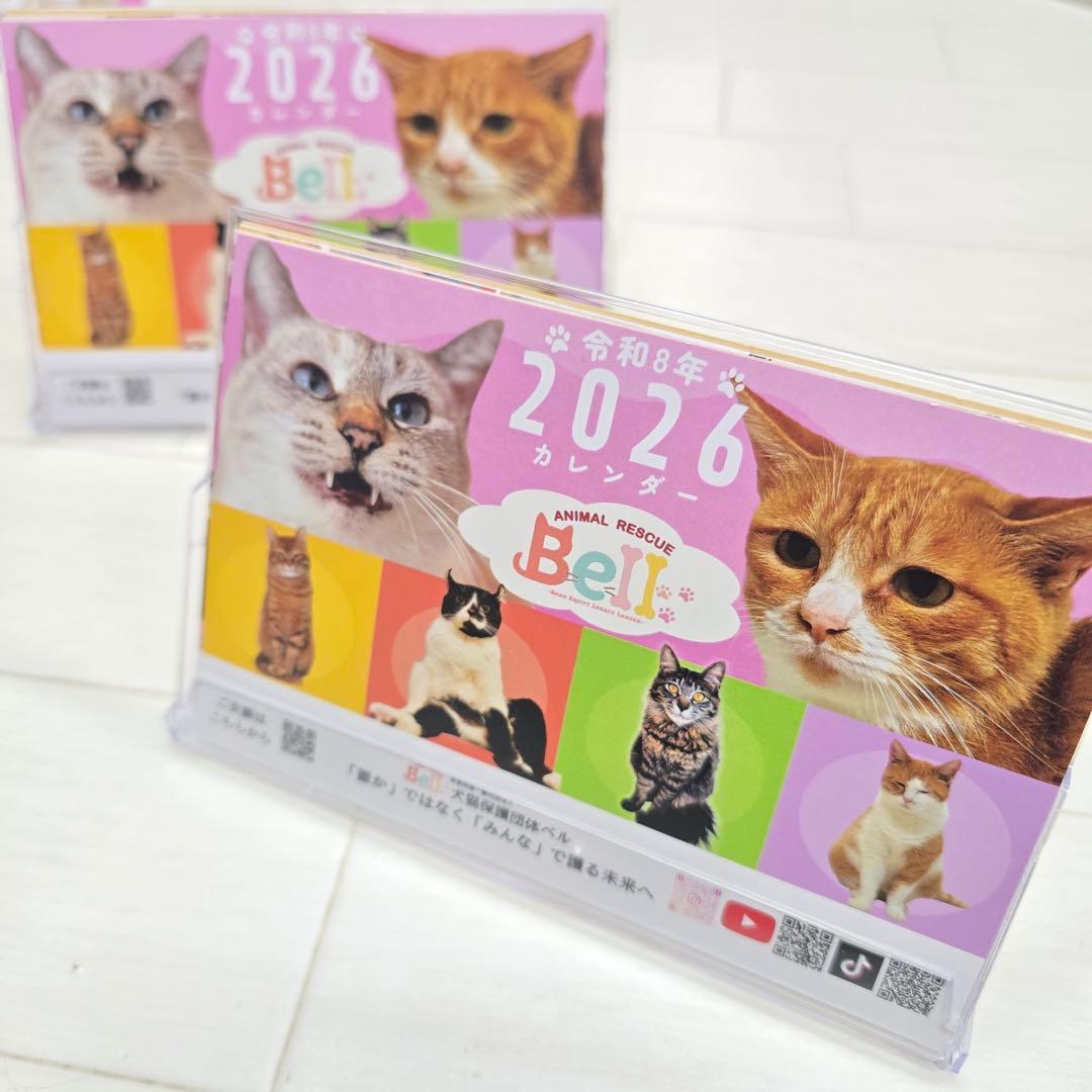①《猫》 卓上チャリティーカレンダー10枚セット