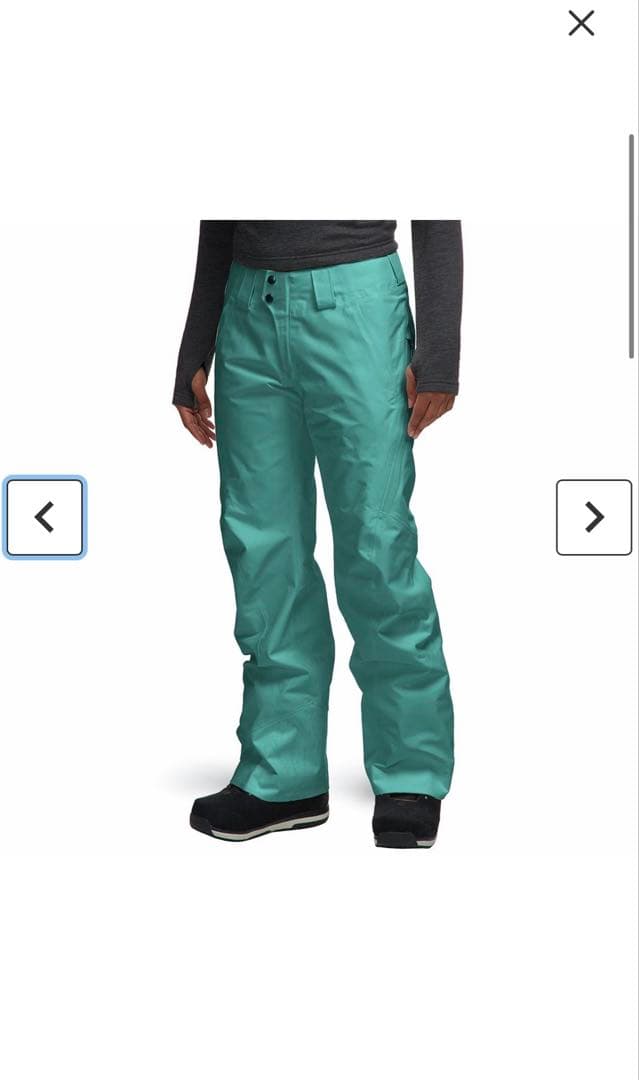 patagonia Powder Bowl Pants XS クリーニング済