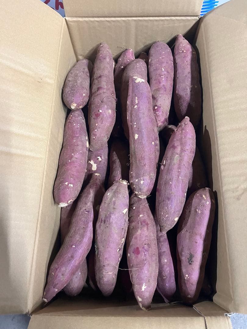 南国の山ちゃん！大分県産　甘太くんA品Mサイズ　25キロ