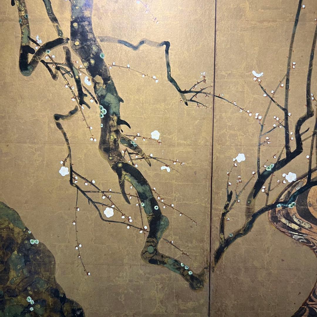 4147 尾形光琳 「紅白梅図」 工芸印刷 紙本 日本画 掛軸 おもてなし