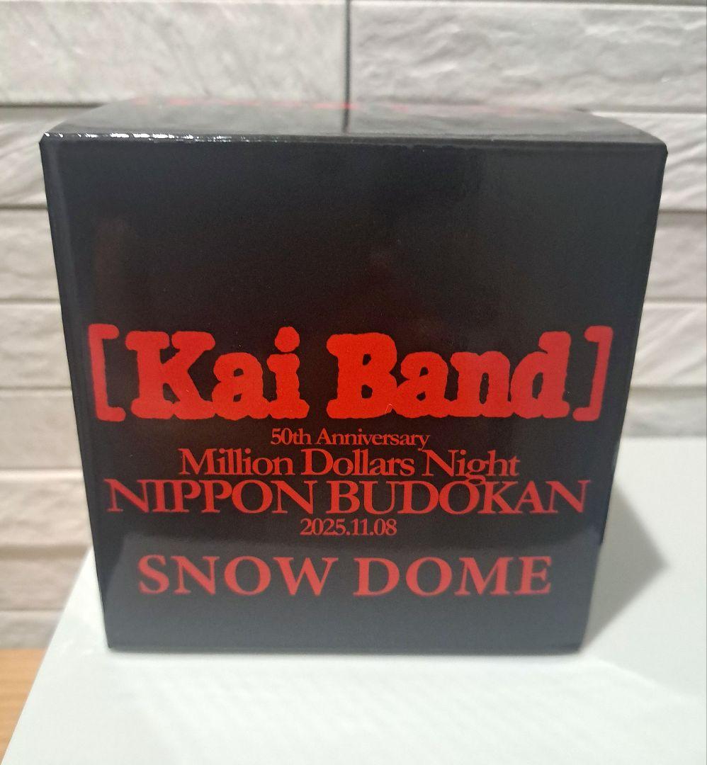 甲斐バンド　スノードーム　コンサートVIP特典