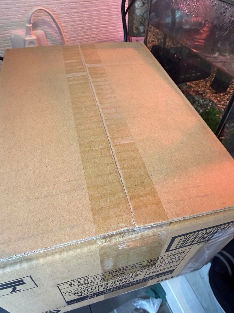 未開封　24BOX 遊戯王OCG 限定パック スタンプエディション 240パック