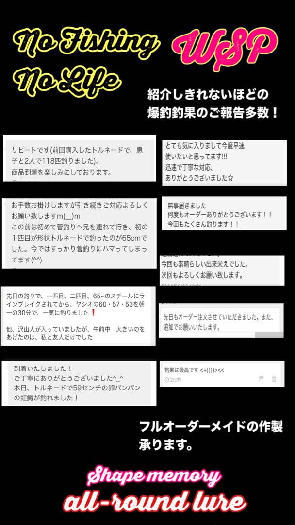 【オーダー受付ページ】WSP 形状記憶　数釣り最強！超万能ルアー