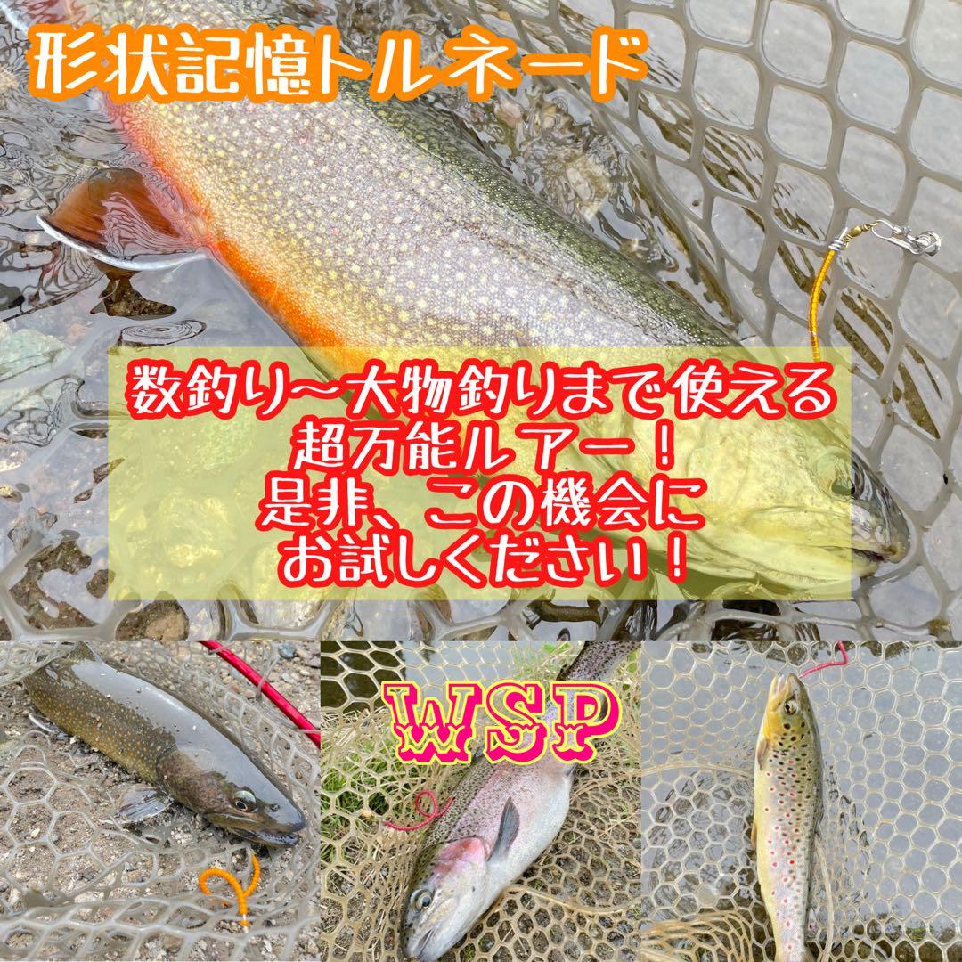 【オーダー受付ページ】WSP 形状記憶　数釣り最強！超万能ルアー