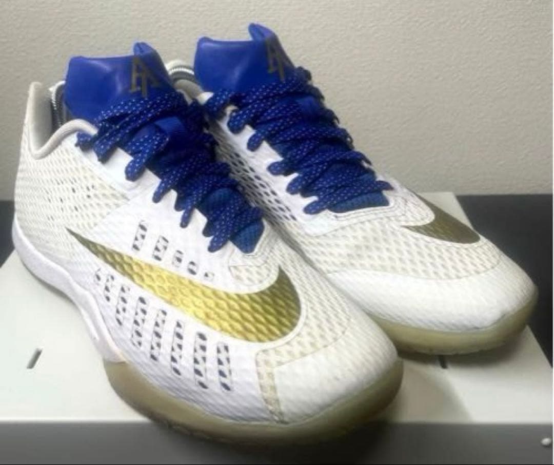 NIKE ナイキ ハイパー ライブ バスケットボールシューズ イグダラ