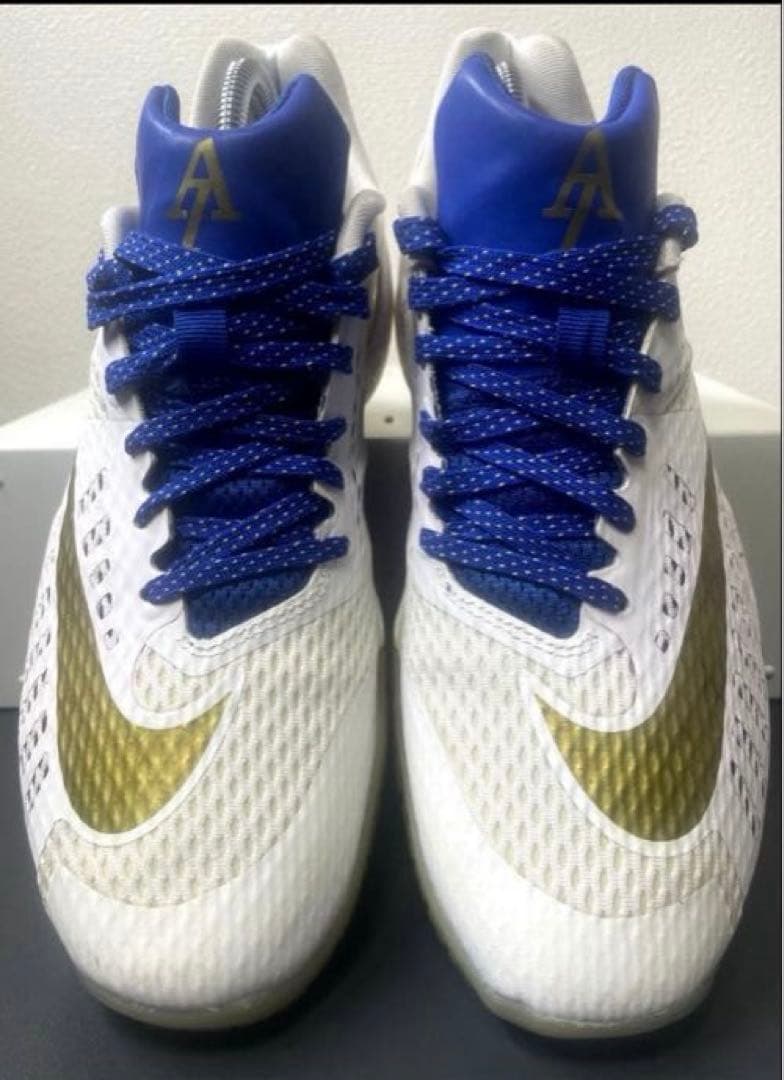 NIKE ナイキ ハイパー ライブ バスケットボールシューズ イグダラ