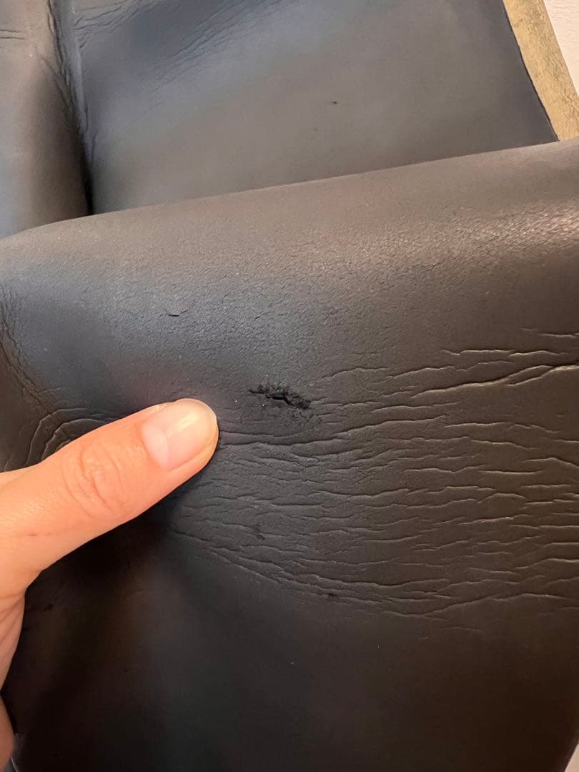 TRUDIVE フルスーツ ブラック/ゴールド