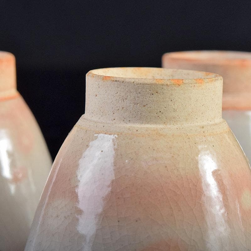 煎茶道具　虫明焼　蟹文　煎茶碗　五客　箱蓋無し　V　R8756