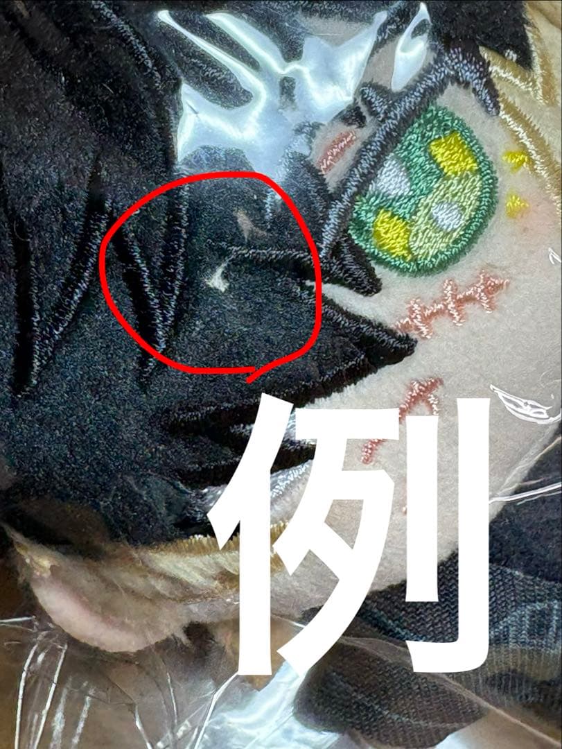 ニトロキラル展　キラメモ展　ぬいパル　スロウ・ダメージ　トワ　1点