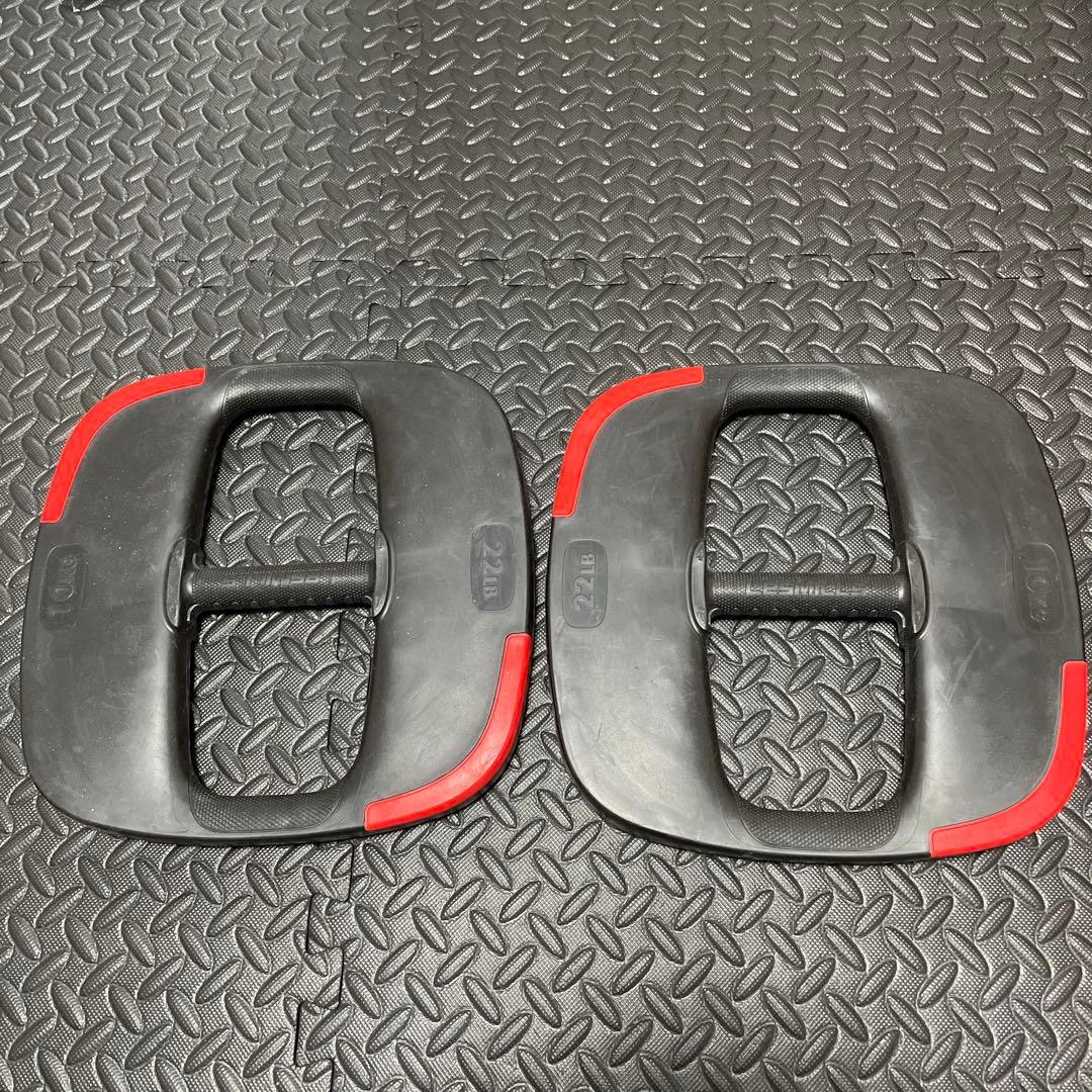 レズミルズ　プレート　10kg 2枚