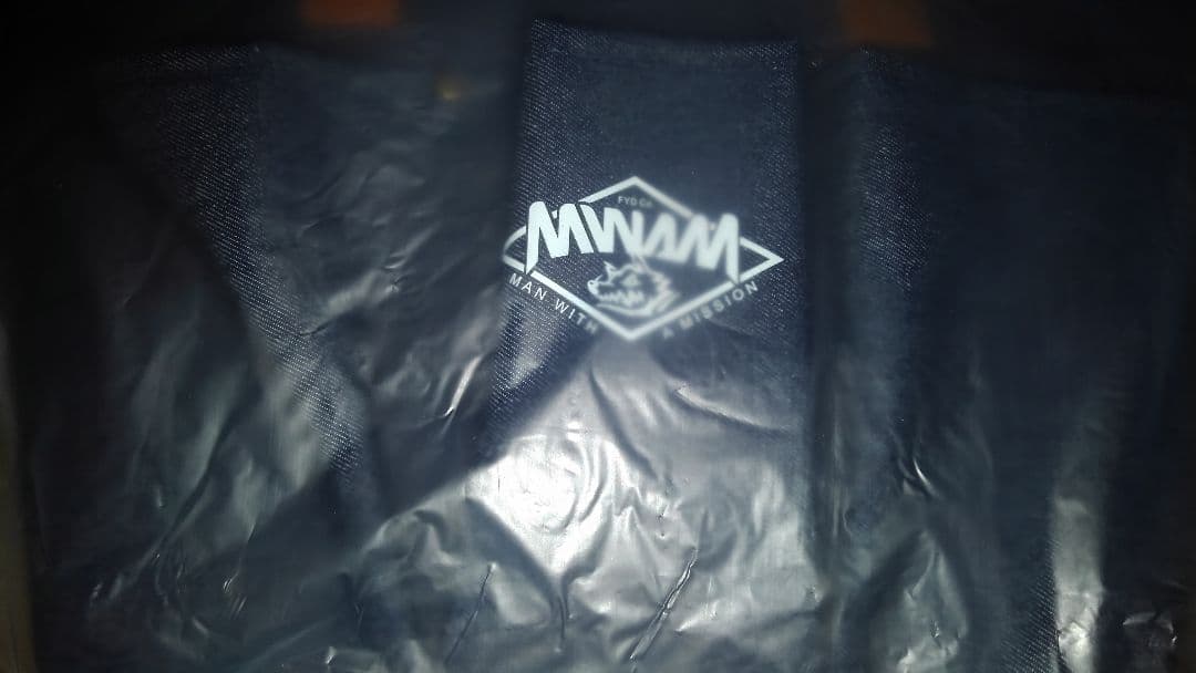 ミュージシャン MAN WITH A MISSION