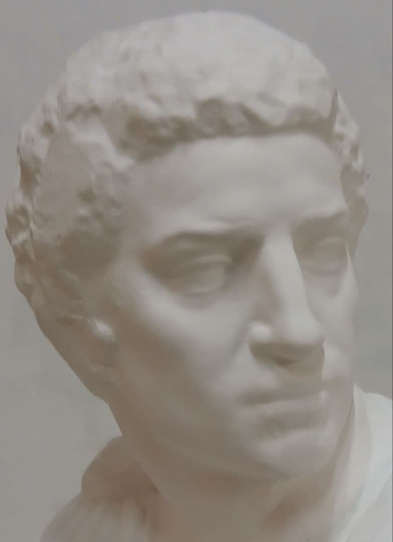 ブルータス石膏胸像 。デッサン。美術。教材