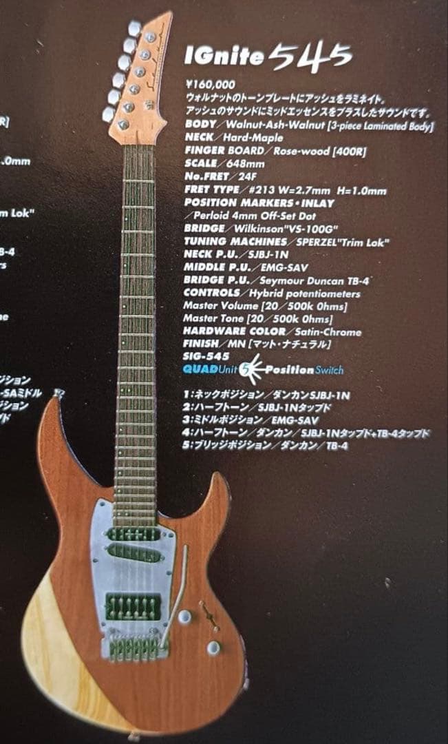 ギター Selva Ignight 545