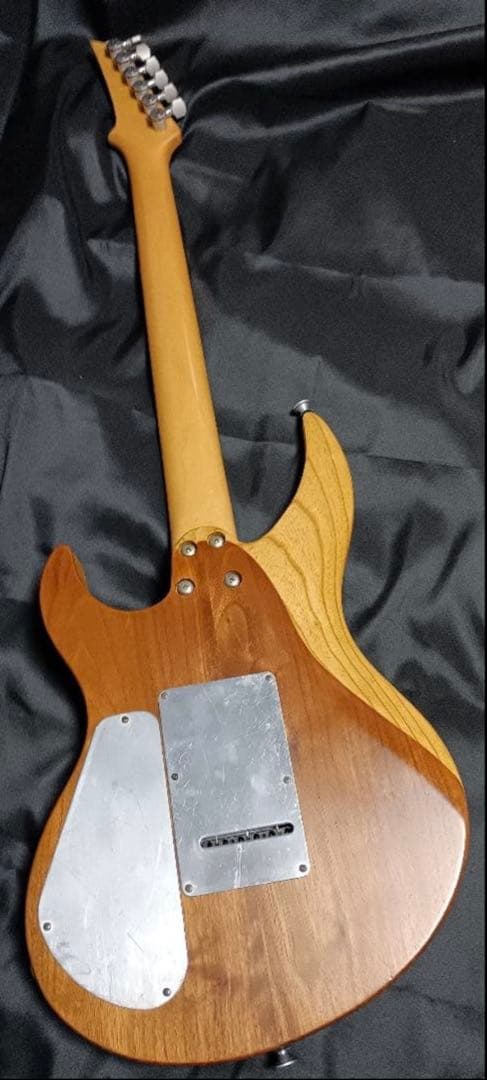 ギター Selva Ignight 545