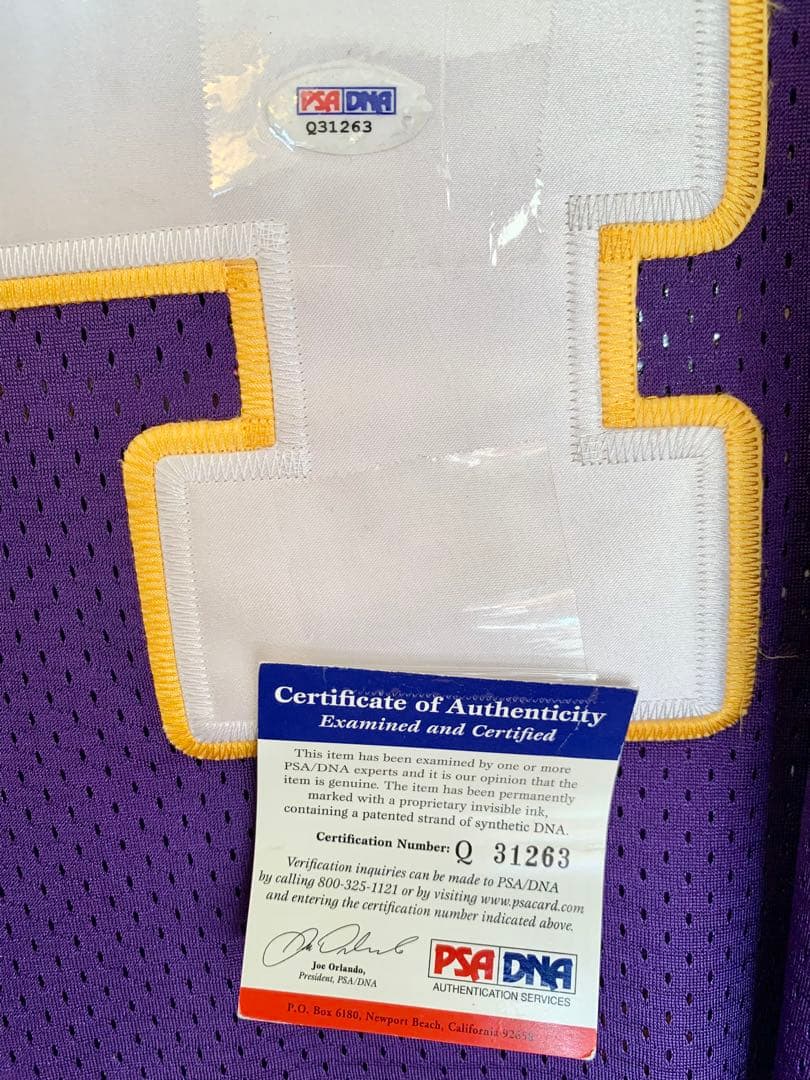 NFL MINバイキングス ブレットファーヴ autoオーセンティックジャージー