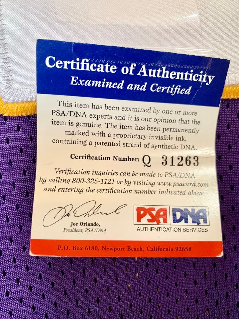 NFL MINバイキングス ブレットファーヴ autoオーセンティックジャージー