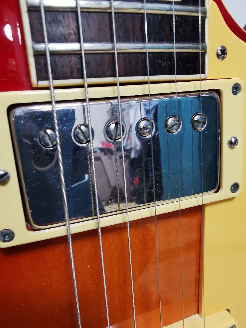 し*ほ様 Burny Super Grade RLG-50