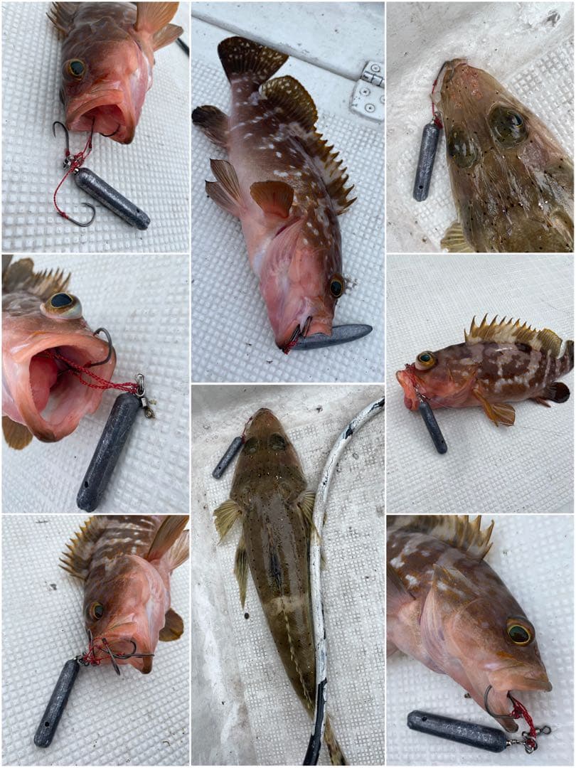 コスパ最強で釣果抜群！★エビ針ジグ★魚釣り 船釣り 仕掛け ★送料無料★