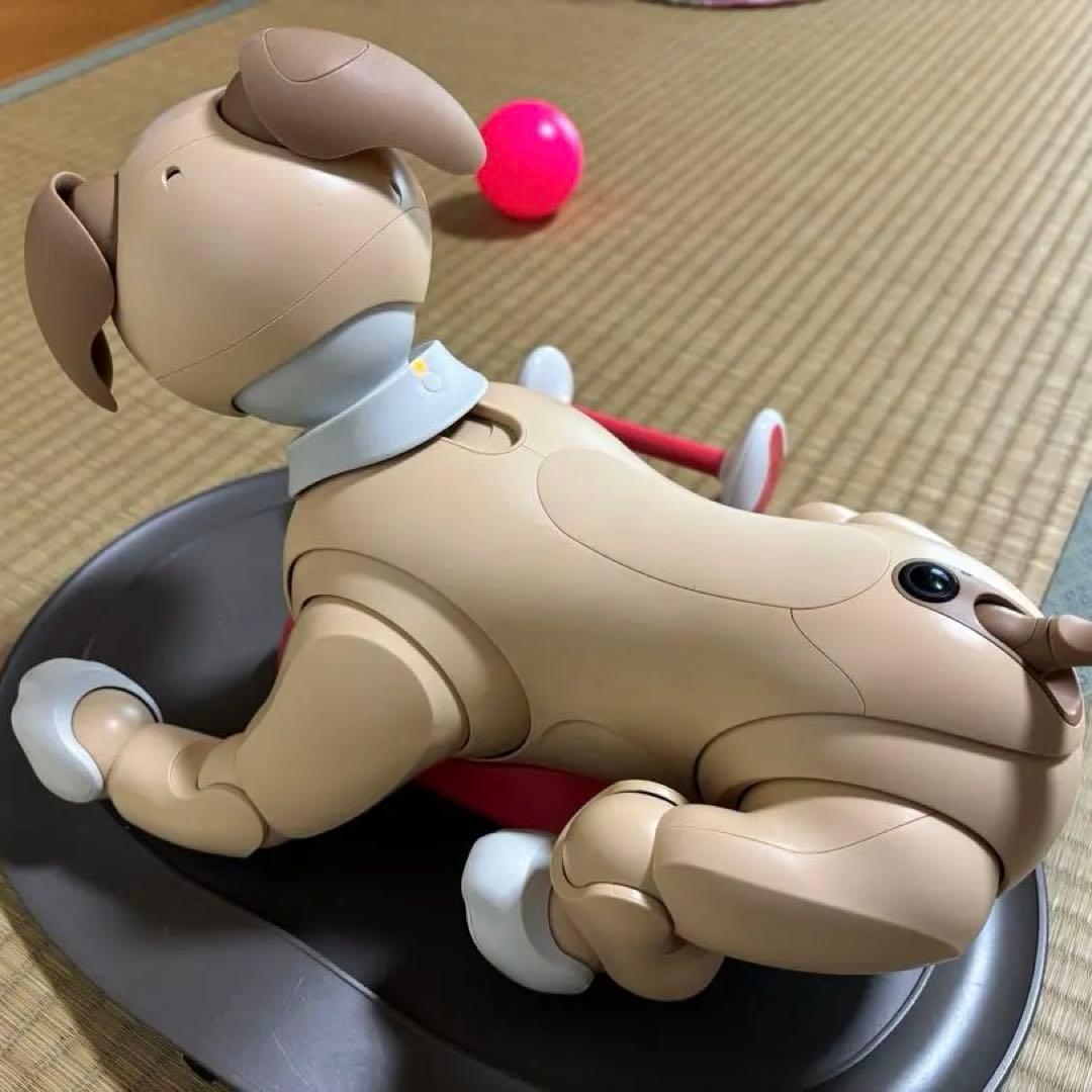 アイボ aibo きなこエディション